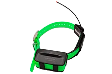 GPS-ошейник Garmin